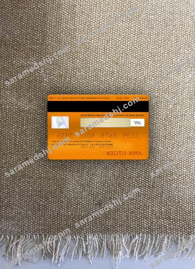 Latvia Swedbank visa electron card photolook back